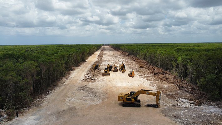 Ecocidio por el Tren Maya: El Caso de Calakmul y las Áreas Protegidas